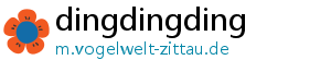 dingdingding